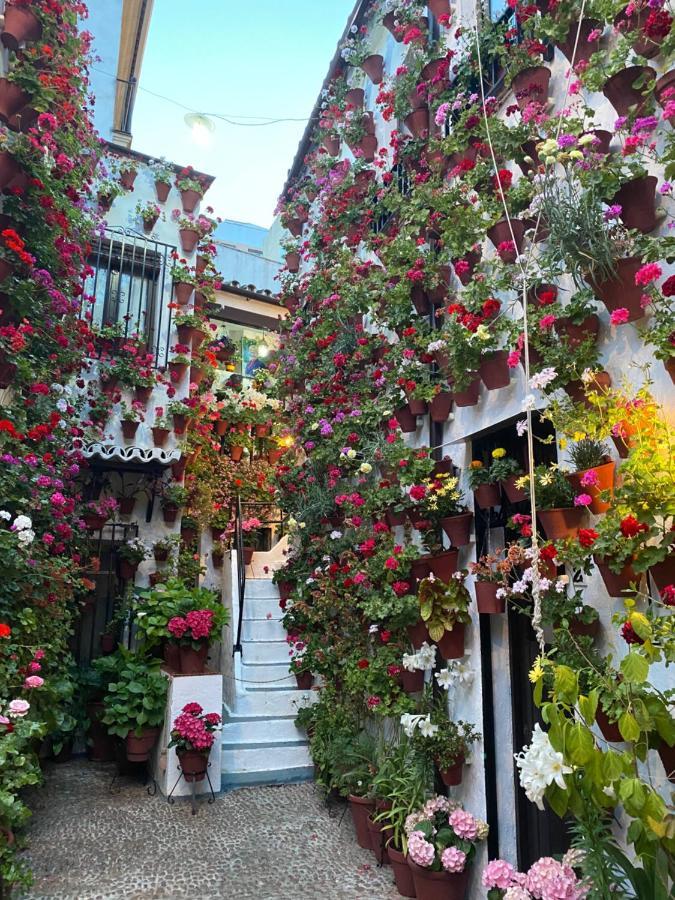 Atico Casa Lola * Cordoba