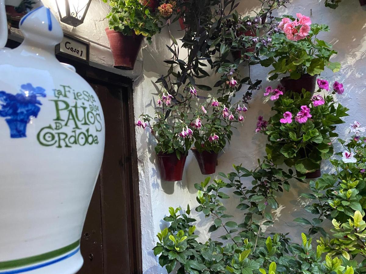Atico Casa Lola * Cordoba