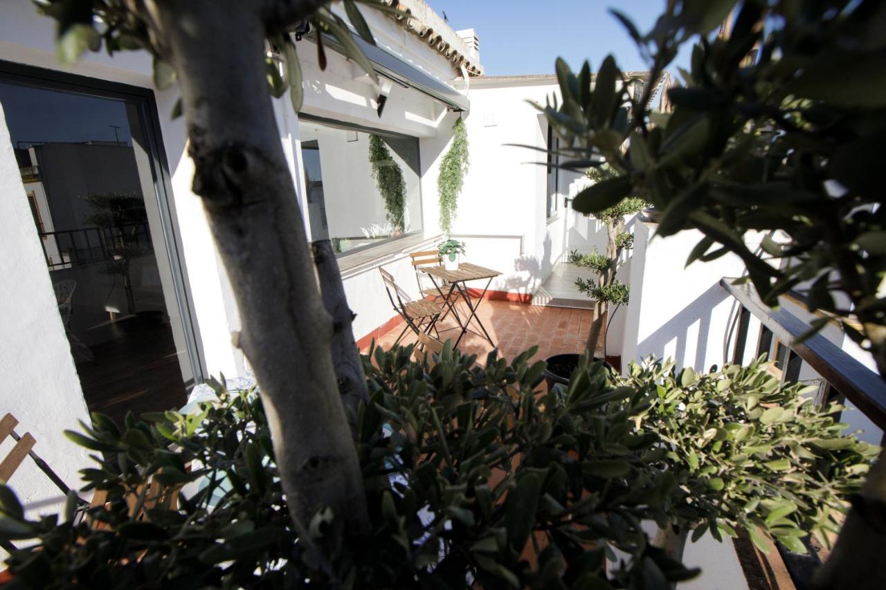 Atico Casa Lola * Cordoba